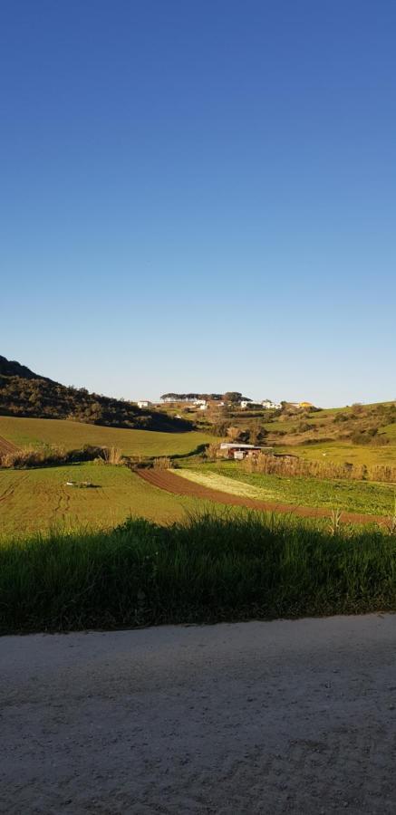 Al - Haoleguesthouse Sobral de Monte Agraço エクステリア 写真